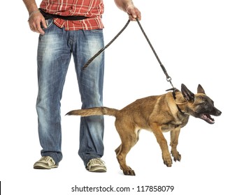 Man holding leash of aggressive Belgian Shepherd against white background