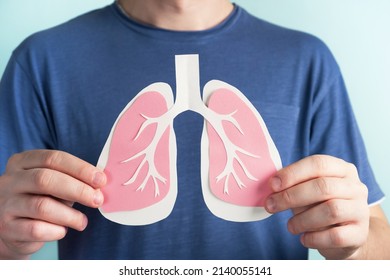 Man Holding Lungs Decorative Model World Stock Photo 2140055141 ...