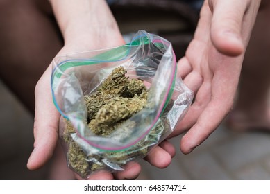 Man Holding Open Bag Of Marijuana And Cannabis Nugs. Marijuana And Cannabis Reform And Legalization Concept.