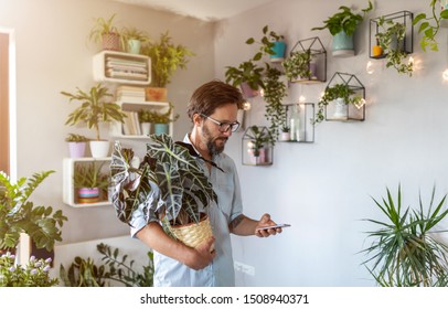 Man Holding Potted Plant And Mobile Phone At Home
