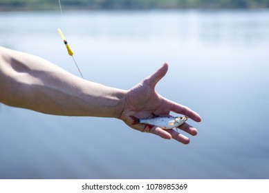 Man Holding Small Fish In Hand