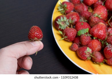 The man is holding strawberry in his hand. She holds her hand to a plate of strawberries. - Shutterstock ID 1109312438