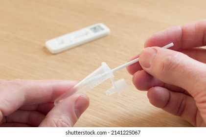 Man Holding Swab And Phial, Self-testing For Covid-19 With A Lateral Flow Test (LFT), UK