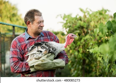 Man Holding A Turkey
