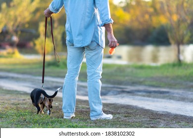 Man Holding Waste Bag With Dog Rear View. Pet Owner Who Picks Up Dog's Poop Cleaning Up Mess. Cleaning After Dog In Park.