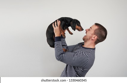 Dachshund happy Images, Stock Photos & Vectors | Shutterstock