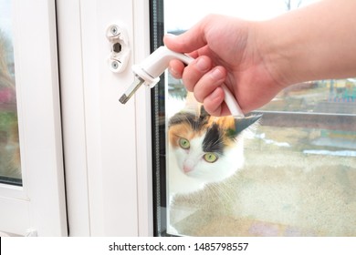 A Man Holds In His Hand A Broken Doorknob. The Cat Looks In Surprise From The Window Opening.