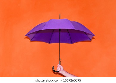 A man holds in his hand a purple umbrella on a background of an orange wall. Concept autumn, business, art.