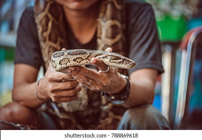 A Man Holds A Snake