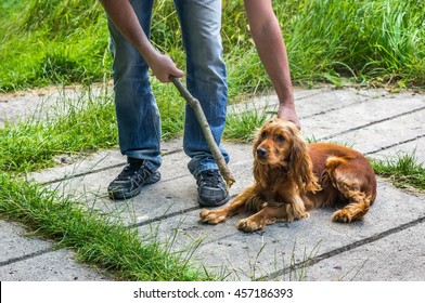 1,702 Dog Hit Images, Stock Photos & Vectors | Shutterstock