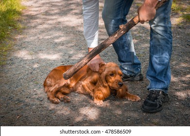 Man Holds A Stick In Hand And He Wants To Hit The Dog - Dog Abuse