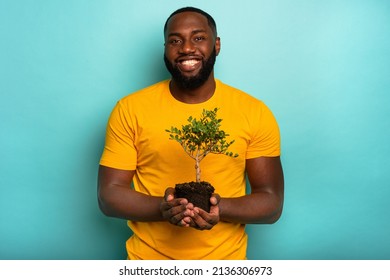 Man holds and takes care of a small tree - Shutterstock ID 2136306973