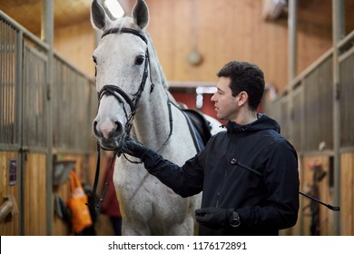 Man holds white horse by bridle in riding stables.