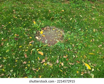 A man hole cover barely able to bee seen within a grassy area. Some leaves have fallen on it and the yard.