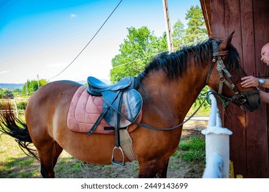 Man with horse in stable at countryside ranch. Man horse rider in summer outdoor. Equestrian and horseback riding. Horse stallion equine with Caucasian man. Countryside ranch. Equestrian stable. - Powered by Shutterstock