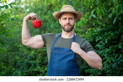 Man Horticulturist In Straw Hat With Sweet Pepper