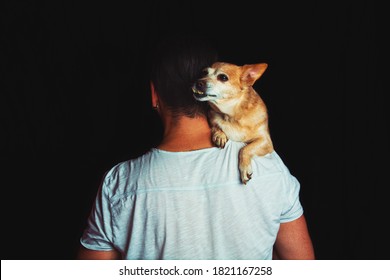 Man Hug His Old Sad Dog Shoulders Isolated On Black Background