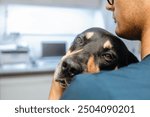 Man hugging sick dog. Selective focus on sad eyes of dog at veterinary clinic.
