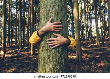 Man hugging tree bark