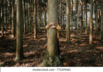 Man Hugging Tree Bark