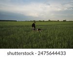 A man with a husky dog in a field on a summer evening, photo taken with a wide-angle lens. 