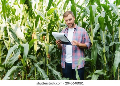 215 Computer pests farming Images, Stock Photos & Vectors | Shutterstock