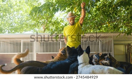 Man interacting with multiple dogs during training session outdoors