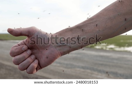 Man itching and scratching on hand from allergy skin rash cause by Mosquitoes bite.