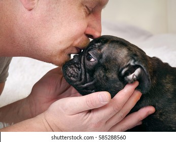 Man Kisses A Dog. French Bulldog, Black. Owner And Animal