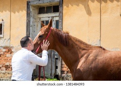 Man Kissing A Horse. Beautiful Site