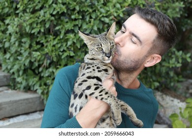 Man Kissing Pedigreed Savannah Cat