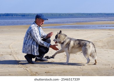 A man kneels on the sand, playfully engaging with a happy dog on a bright day at the beach. Waves gently lap the shore in the background, creating a serene atmosphere. - Powered by Shutterstock