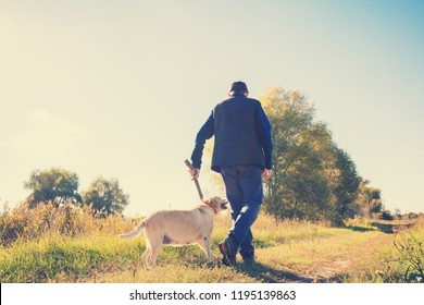 Young Man Walking His Dog Labrador Stock Photo 673611397 | Shutterstock