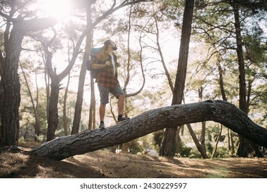 A man with a large backpack on a hiking trip in the mountains in summer. A young guy with hiking gear is resting on a large fallen tree in a sunny pine forest - Powered by Shutterstock