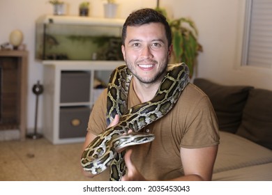 Man Large Burmese Python Home Stock Photo 2035453043 | Shutterstock