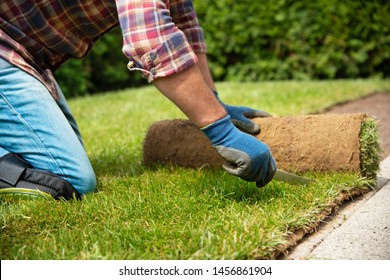 3,219 Turf install Images, Stock Photos & Vectors | Shutterstock