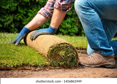 Man laying grass turf rolls for new garden lawn - Shutterstock ID 1456861949