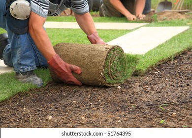 Man laying sod for new garden lawn