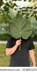 man with a leaf instead of a head