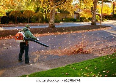 Man Leafblowing Street Stock Photo 618986774 | Shutterstock