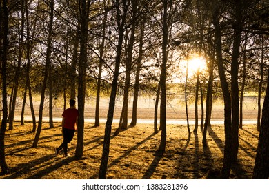 Man leaning on a tree while watching the sunset in a forest