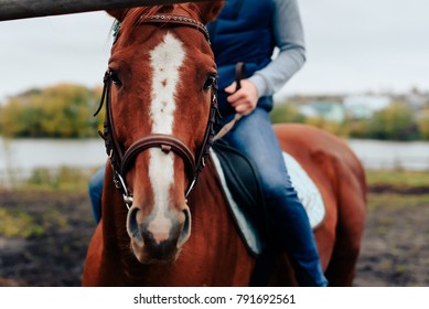 man learns riding a horse in autumn in a rural landscape