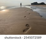 man leaving in the distance, walking on the beach, past and future, where to go