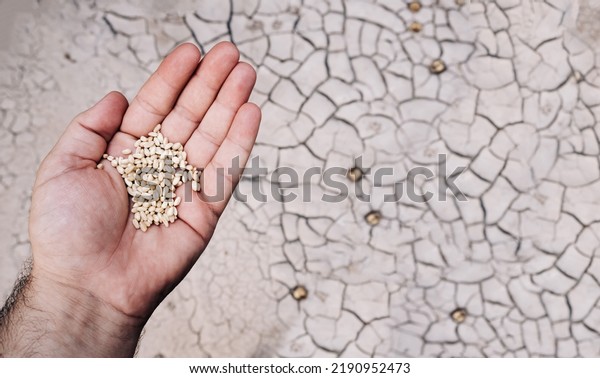 a man left to eat a little grain.\
holding cereal grains in hand and dried earth in the background.\
dehydrated farmland and famine. famine of the\
night.