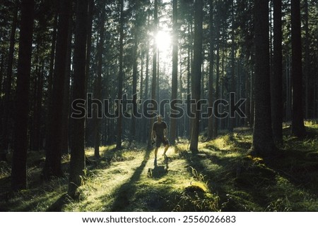 Similar – Image, Stock Photo Young woman with hat taking a walk in the deep forest at sunset.