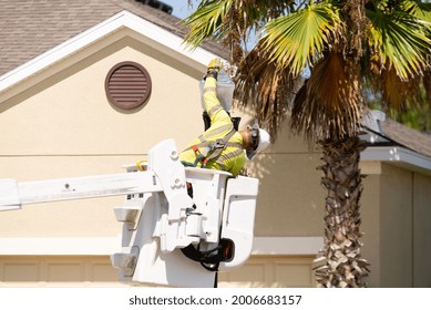 Man In A Lift Bucket, Replacing A Street Light In A Florida Neighborhood