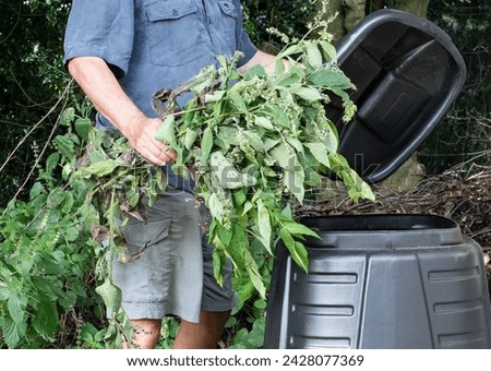 Man lifting the lid of a compost bin with a handful of green comfrey clippings to put in the bin to make compost