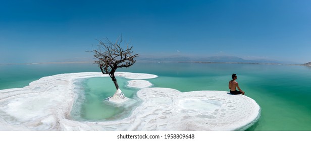 A Man And A Lonely Tree On Salt Island In Dead Sea, Israel.