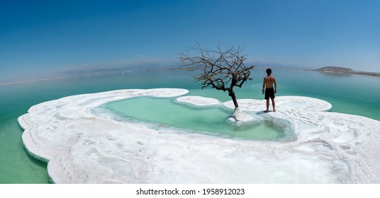 A man and a lonely tree on salt island in Dead Sea, Israel.