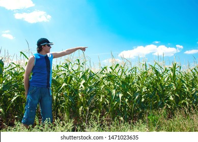 man looking at the corn field